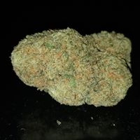 The Way Home Website