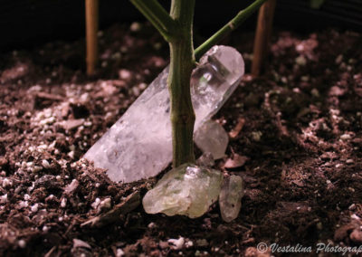 Twenty After Four Wellness Center Website