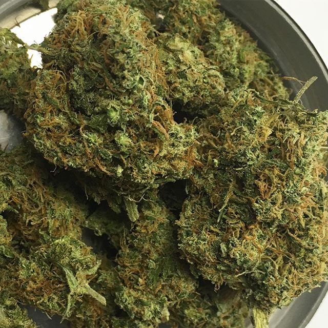 Healing Green Dispensary MMD Website