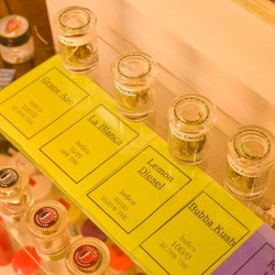 Santé - Durango Website