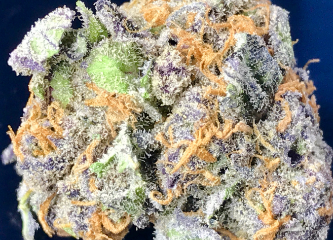 Mobile420rx - Livermore Website