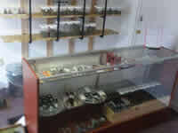 Tumbleweeds - Newport Website