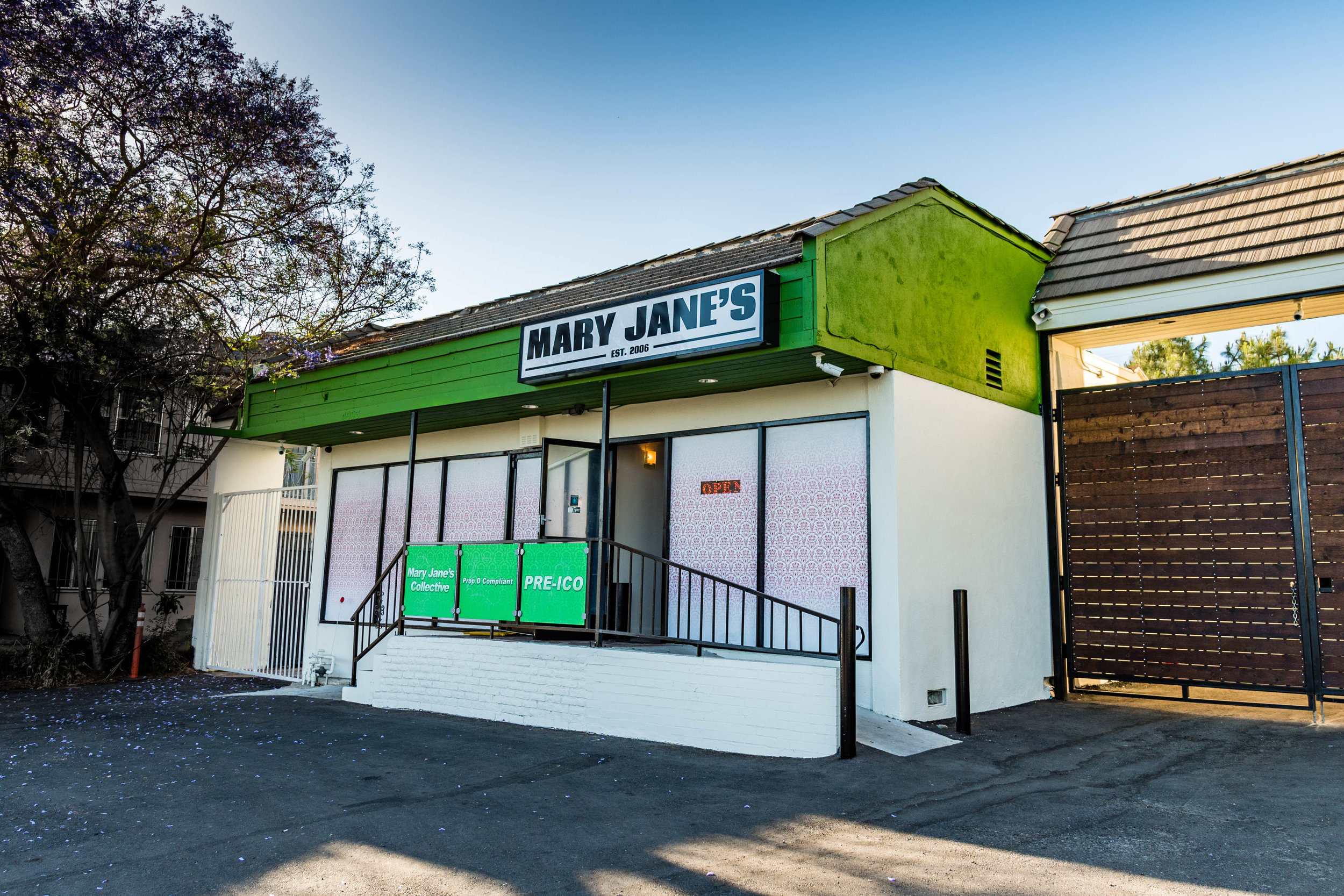 Mary Jane's Collective Website