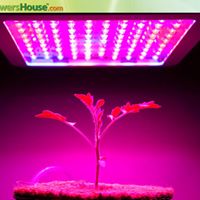 GrowersHouse.com Website