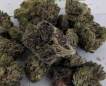 The Green Man Website