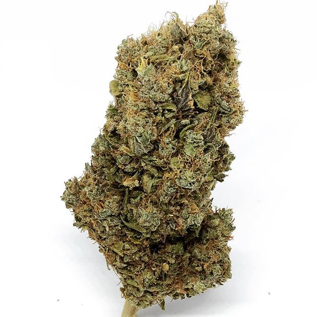 Budlandia - Division St. Website