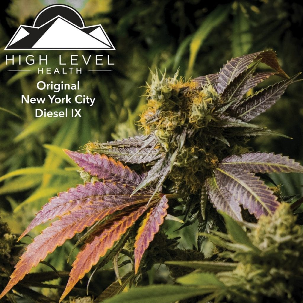 High Level Health - Lincoln (REC) Website