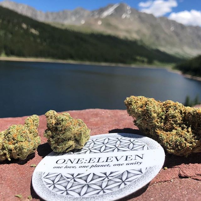 1:11 Dispensary Website