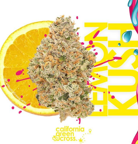 California Green Cross Website