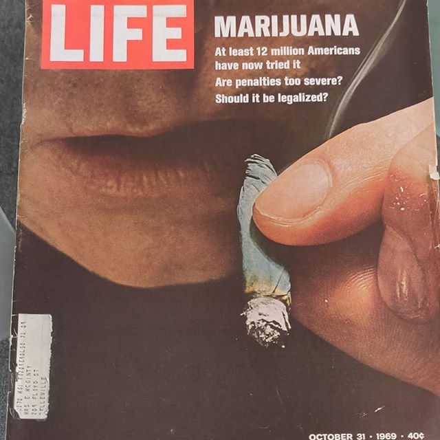 Trees Waterfront Website