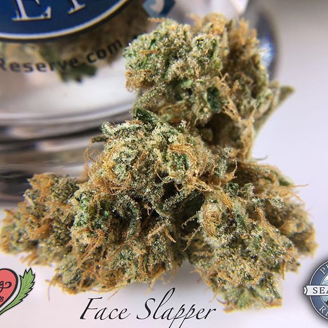 Loving Farms - Mount Vernon Website