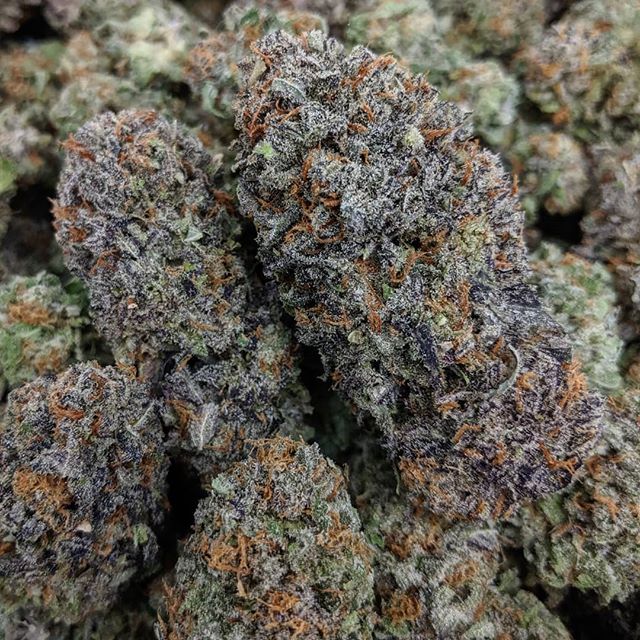 CannaBotica - Recreational Website