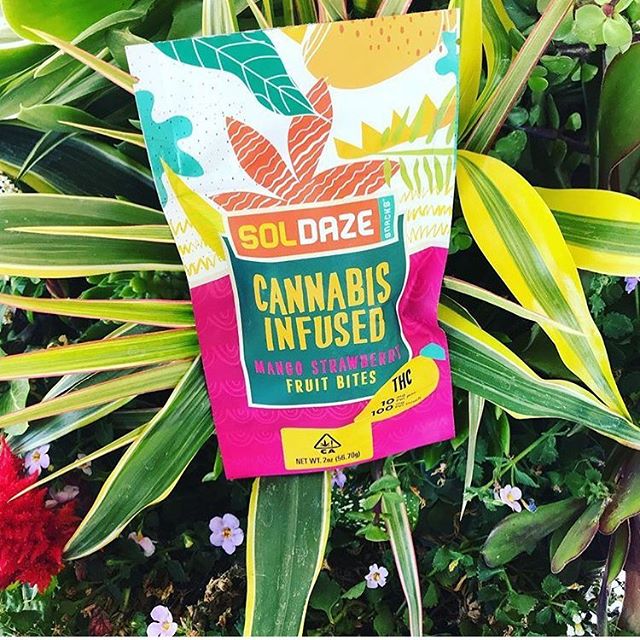 Purple Lotus Patient Center Website