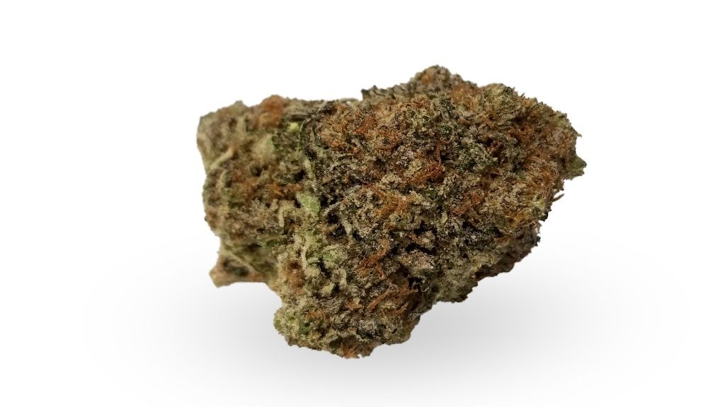 Nature's Medicines - Fall River Website