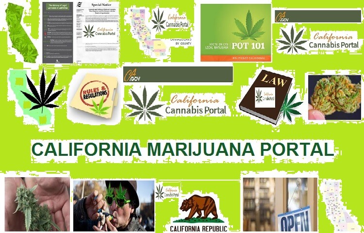 420EvaluationsOnline - South Gate Website