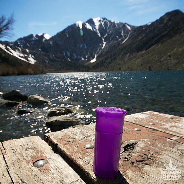 Collective Supply Website