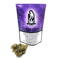 Marry Jane Website