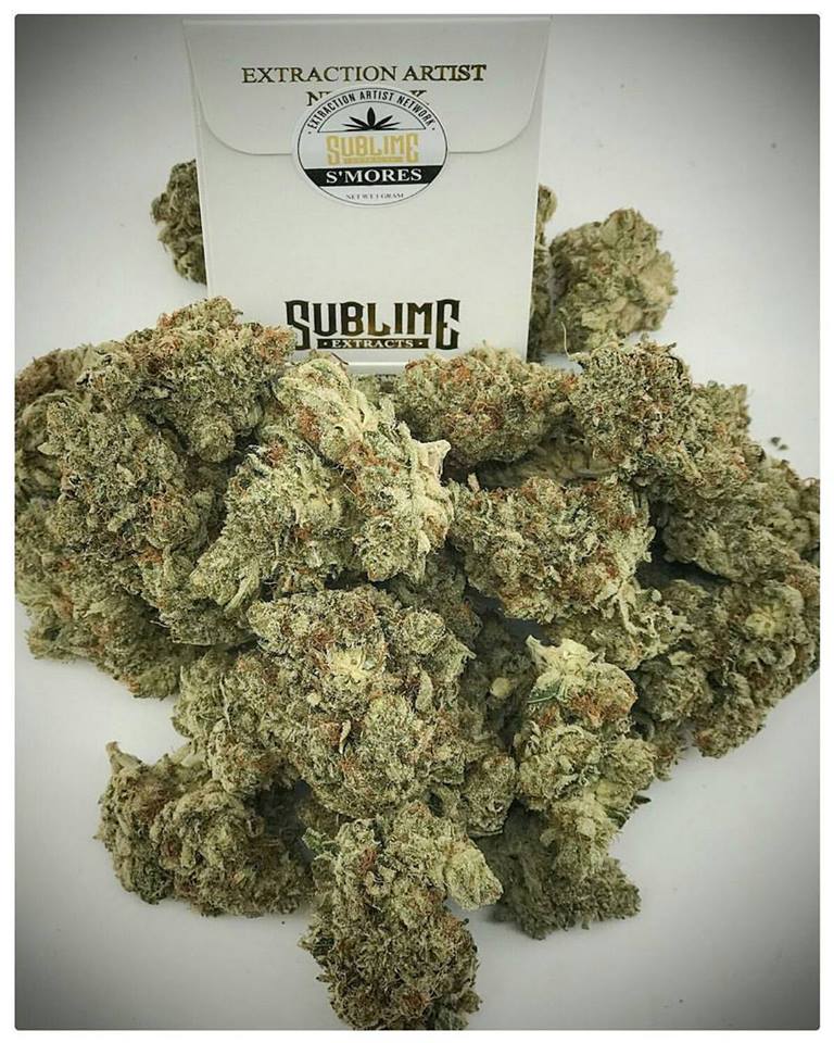 Buzz Delivery Website