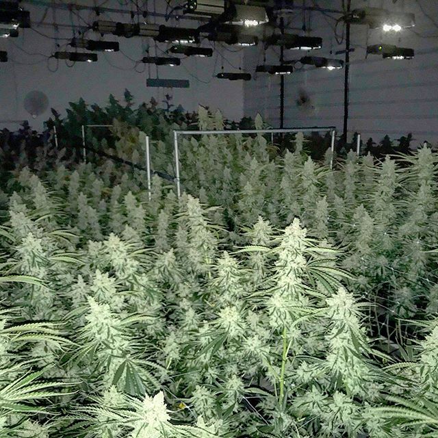 Spark1 - Missoula Website