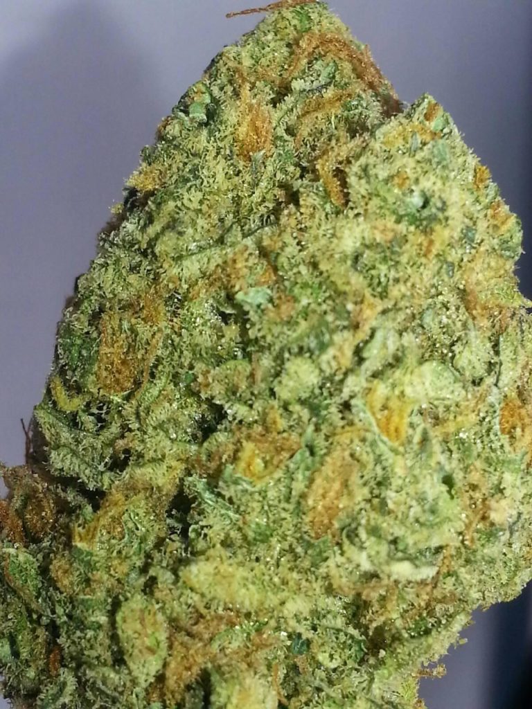 AGT - Lake Forest Website