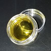 The Way Home Website