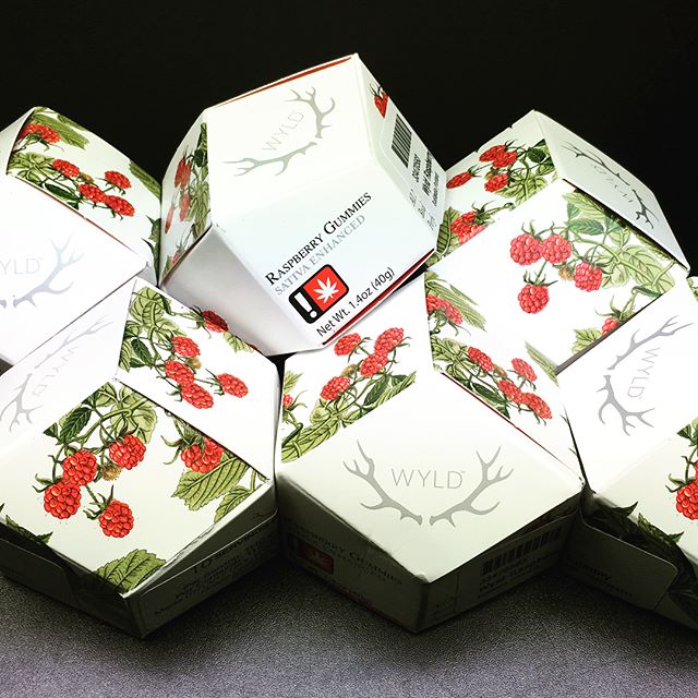 Budlandia - Division St. Website