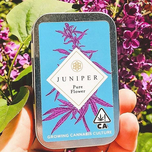 Canopy Health and Wellness Website