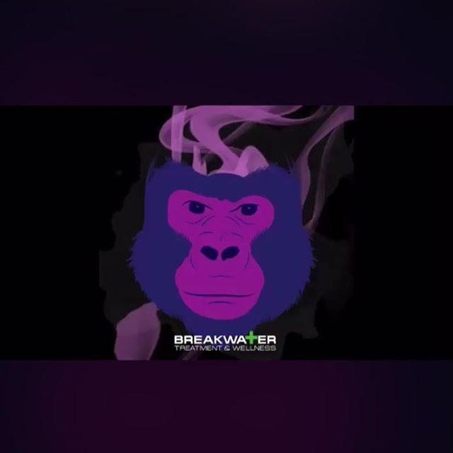 Breakwater Alternative Treatment Center Website