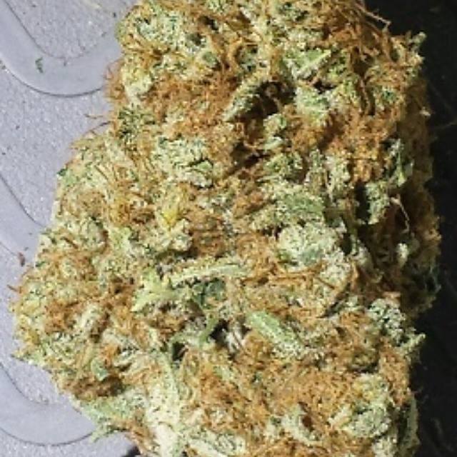 Little Amsterdam - Nevada Website