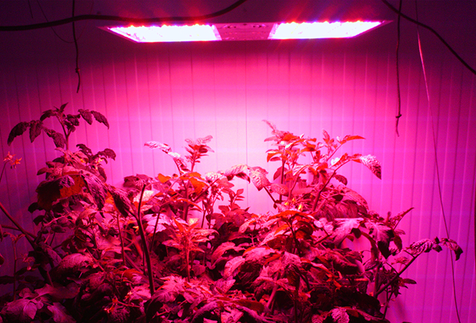 Lumini Technology Co.,Ltd Website