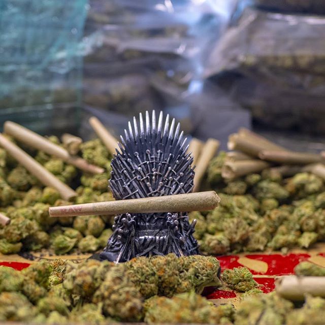 Trees Waterfront Website