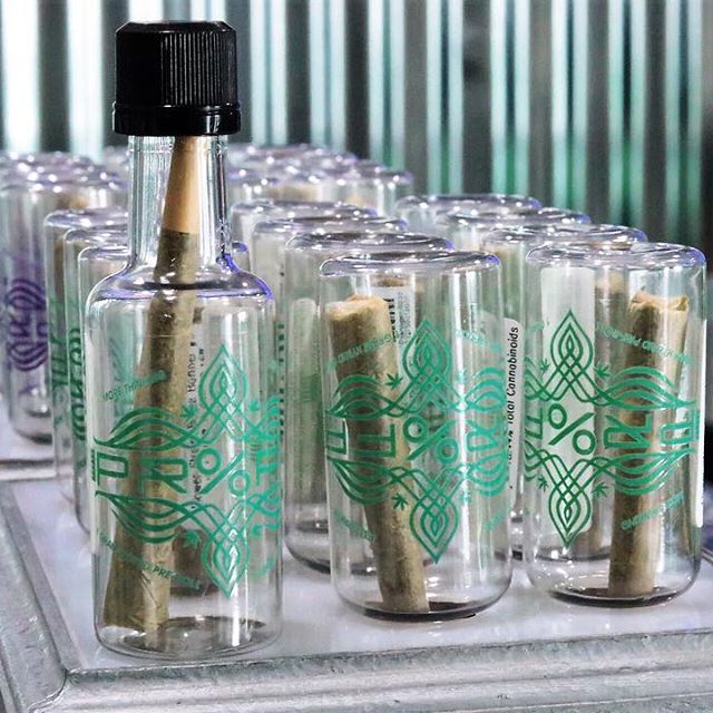 Elite - Lacey Website