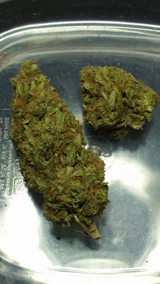 Little Amsterdam - Nevada Website