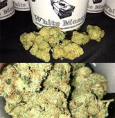 LOS ANGELES KUSH - EAST LA Website