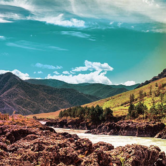 Verilife – Rockville Website