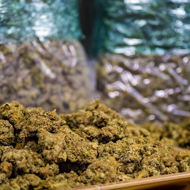 Trees Waterfront Website