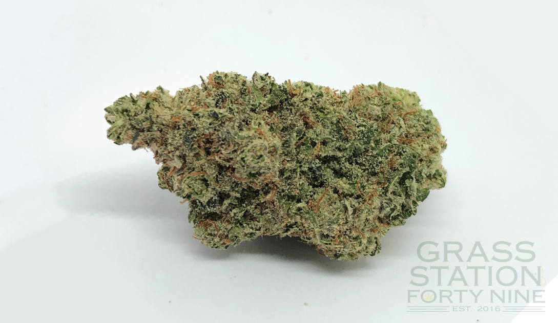 Grass Station 49 - Cushman Street Website