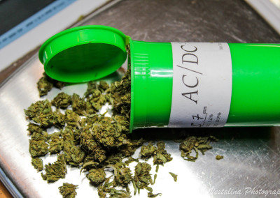 Twenty After Four Wellness Center Website