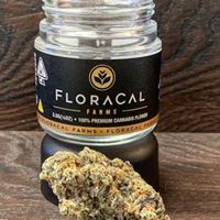 Lakeside Herbal Solutions Delivery Website