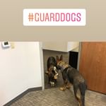 Apeks Super Critical Systems Website