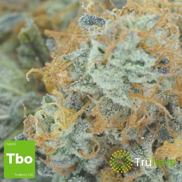 Trulieve - Boynton Beach Website