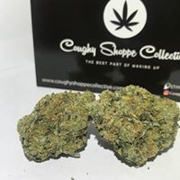 Coughy Shoppe Collective - Hayward Website