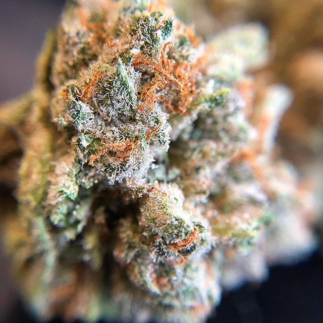 Wolf Pac Cannabis - Federal Blvd Website