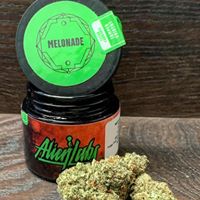 Lakeside Herbal Solutions Delivery Website