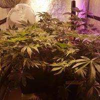 420EvaluationsOnline - Murrieta Website