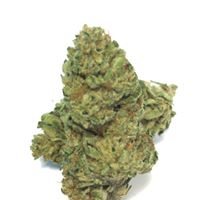 Foothill Grove Nursery Website