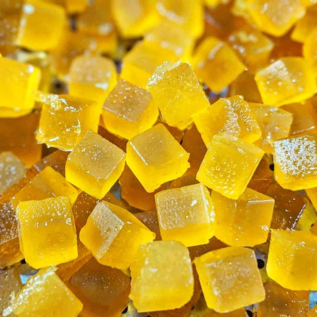 Elefante Inc Website