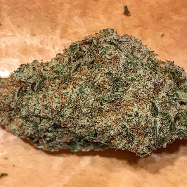 Spark1 - Missoula Website