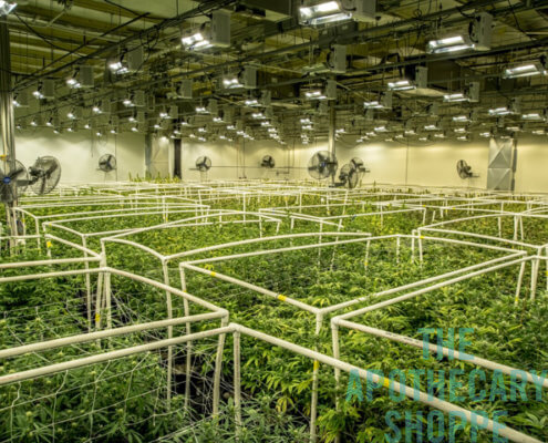 The Apothecary Shoppe - Las Vegas Website