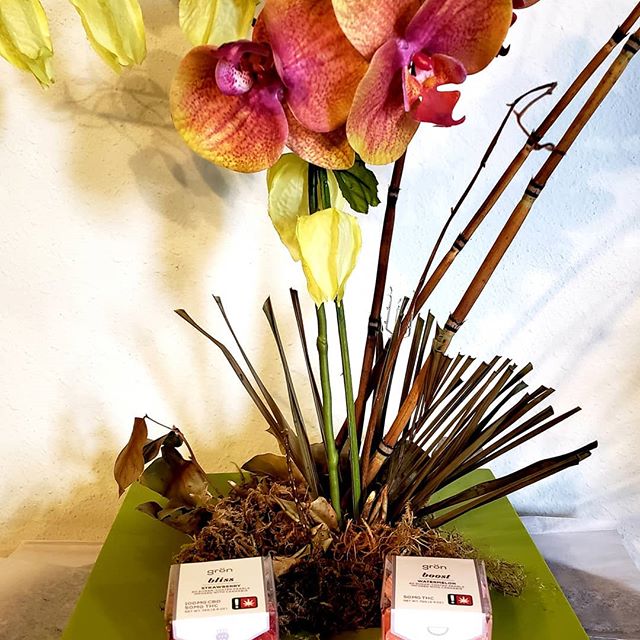 Market Street Wellness Website